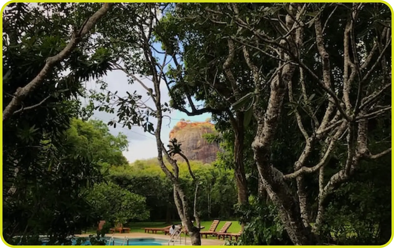 bosque chacha planet