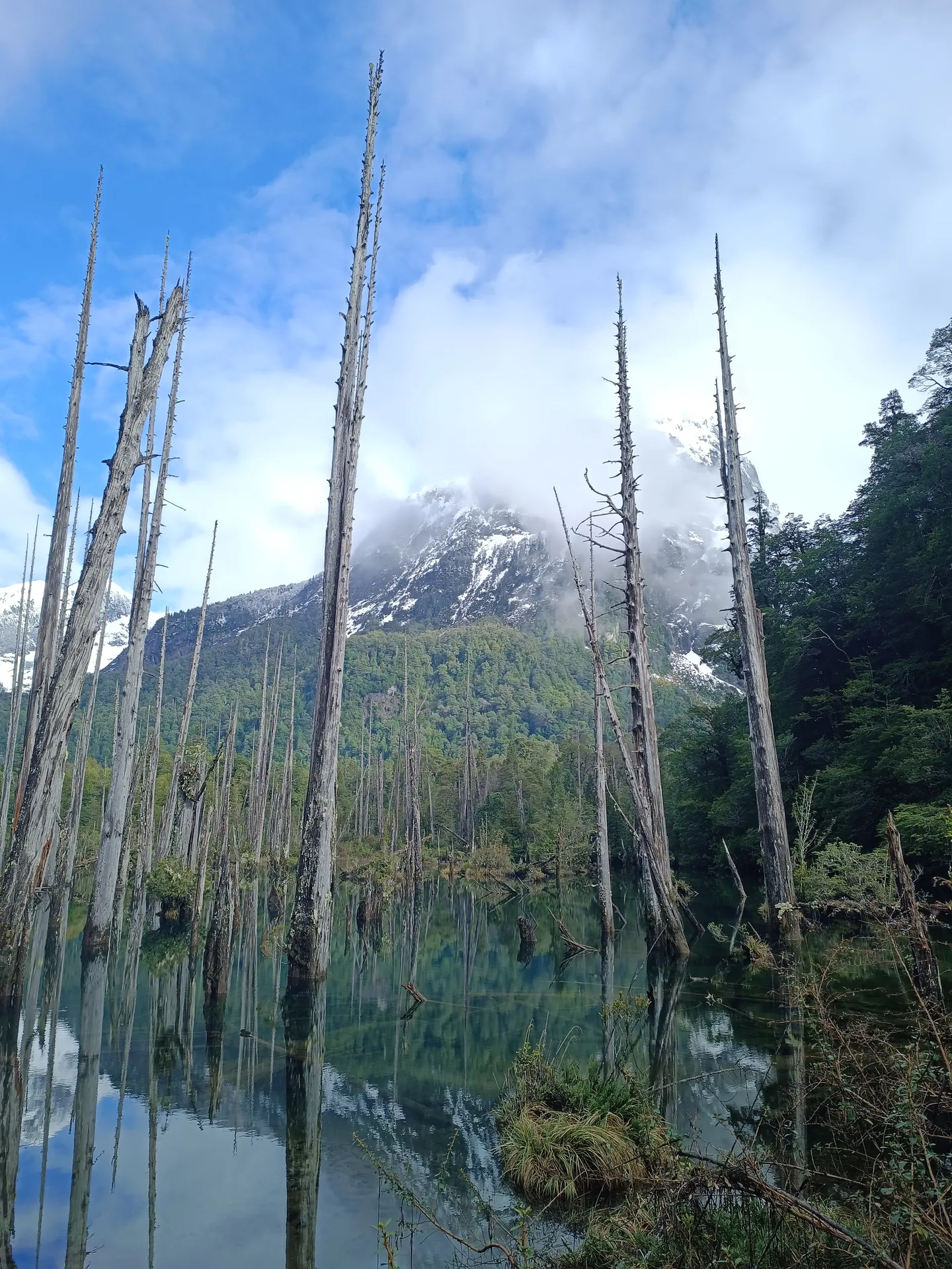 Parque Tagua Tagua Expedicion Selva Valdiviana 5